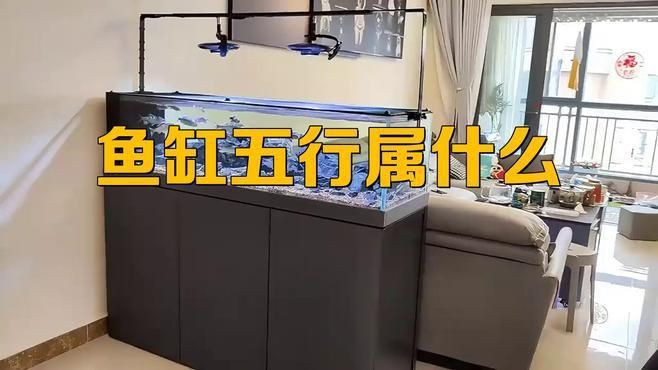 魚缸的形狀如何影響風(fēng)水？【魚缸形狀與風(fēng)水關(guān)系摘要，魚缸形狀與風(fēng)水的關(guān)系摘要】