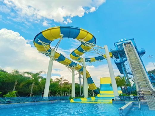 柳州水族店【柳州有哪些水族店】