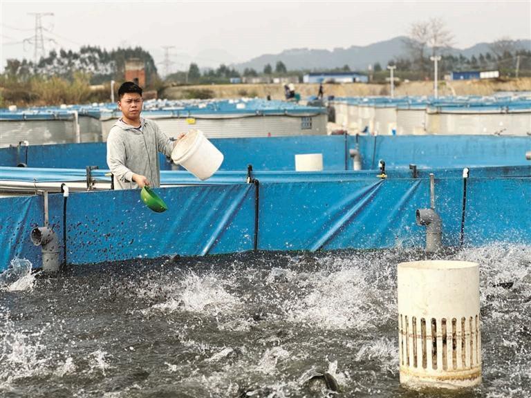柳北龍魚(yú)店【柳州11家“第二批廣西非遺美食體驗(yàn)店”都有哪些】