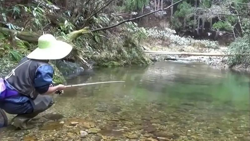石爬子魚圖片大全【平武石爬子魚】