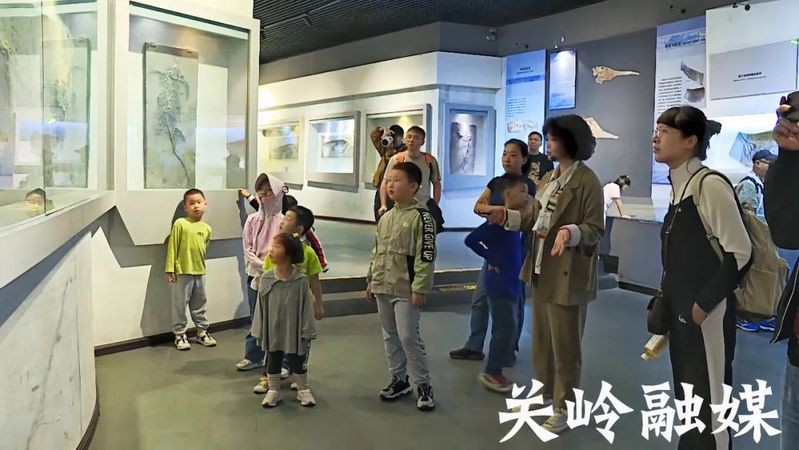 關嶺龍魚店，關嶺的龍魚店哪個口碑最好