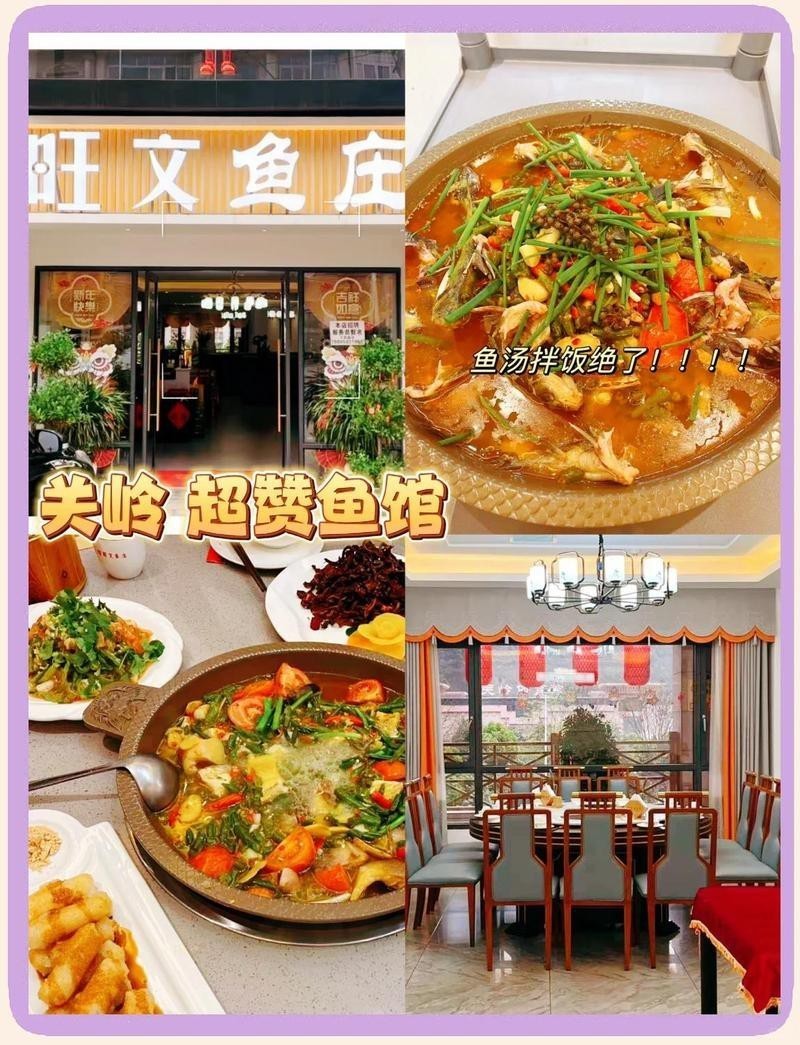 關嶺龍魚店，關嶺的龍魚店哪個口碑最好
