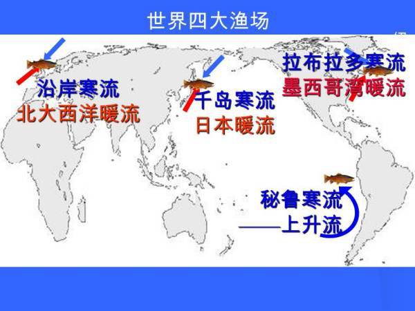 世界四大漁場【世界四大漁場、北海漁場、加拿大的紐芬蘭漁場、秘魯漁場】
