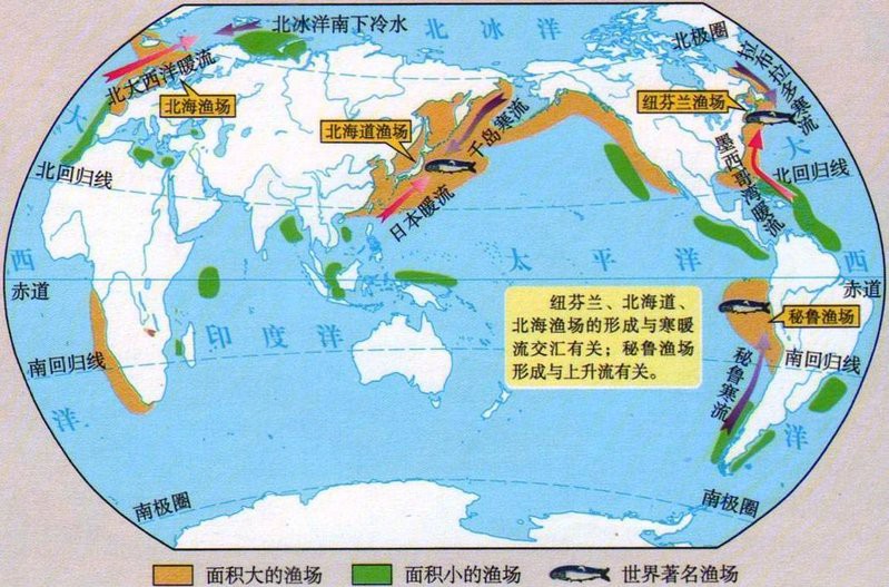 世界四大漁場【世界四大漁場、北海漁場、加拿大的紐芬蘭漁場、秘魯漁場】