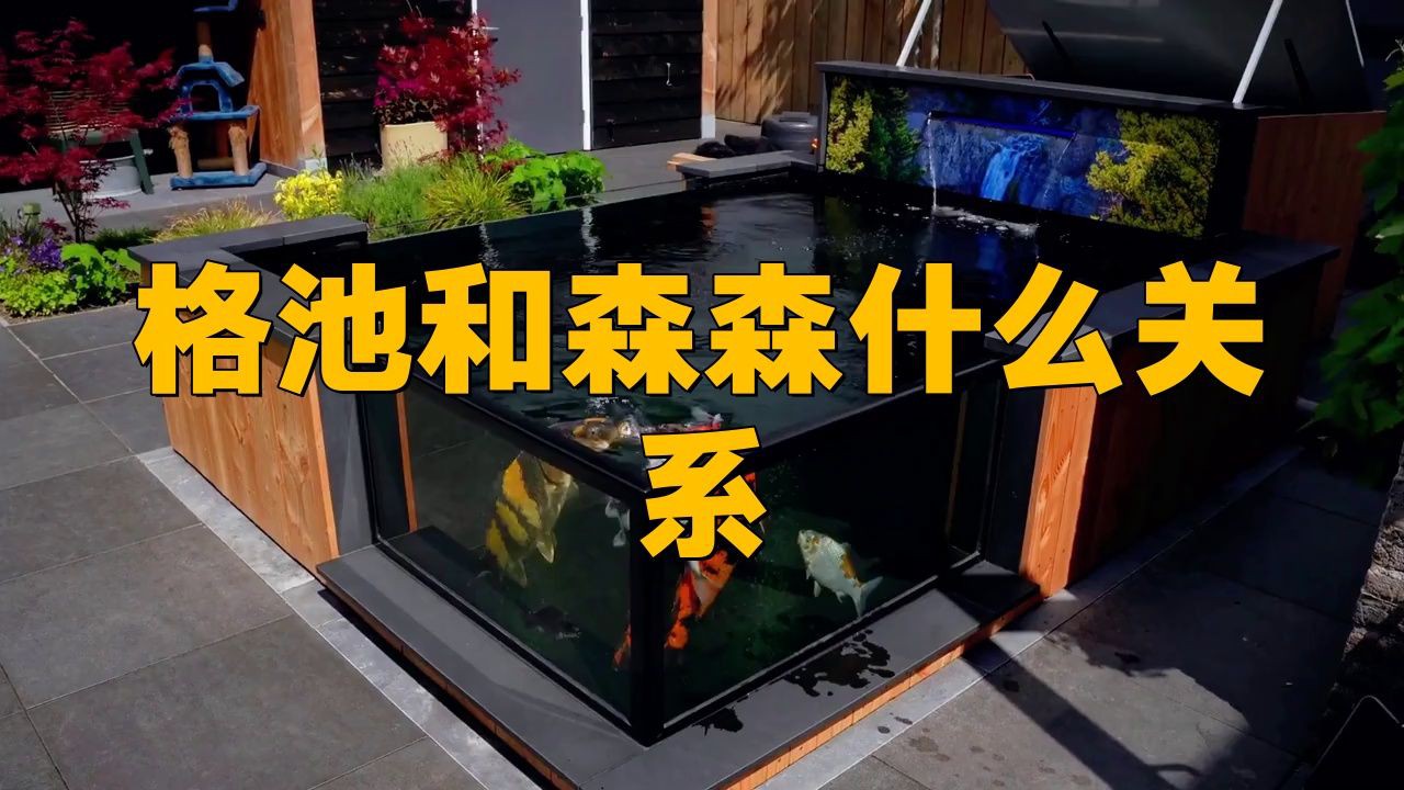 格池是森森高端品牌嗎【格池和森森什么關系？】