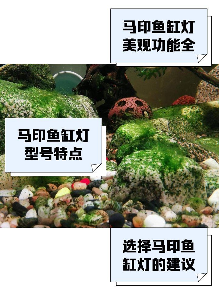 馬印牌水族燈的用法與使用指南【馬印牌水族燈使用指南】