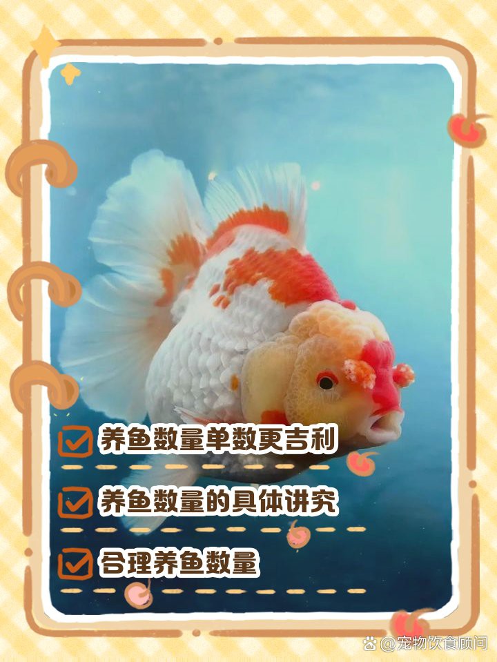 76龍女養幾條魚最吉利【76年龍女養魚風水指南】