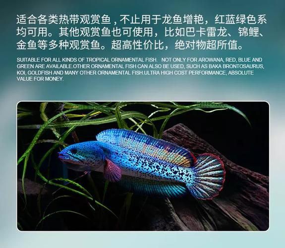 馬印水族爭艷燈價格表與圖片【馬印水族爭艷燈】