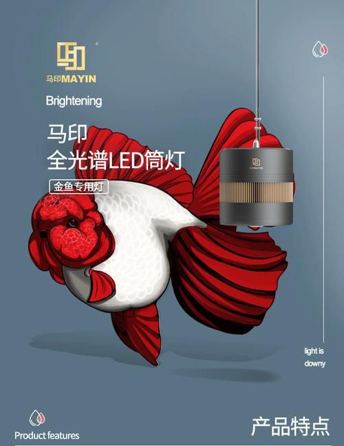 馬印水族爭艷燈價格表與圖片【馬印水族爭艷燈】