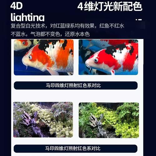 馬印水族爭艷燈價格表與圖片【馬印水族爭艷燈】