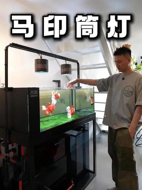 馬印水族爭艷燈價格表與圖片【馬印水族爭艷燈】