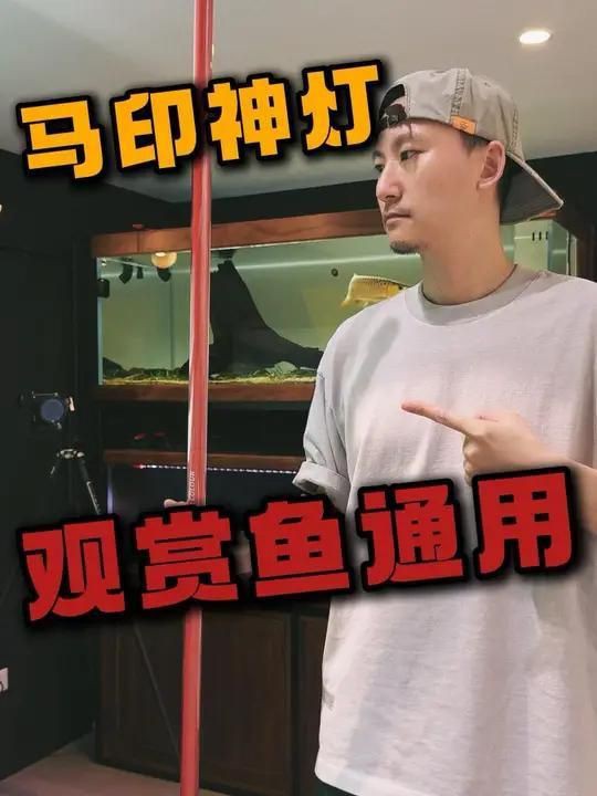 馬印水族爭艷燈價格表與圖片【馬印水族爭艷燈】