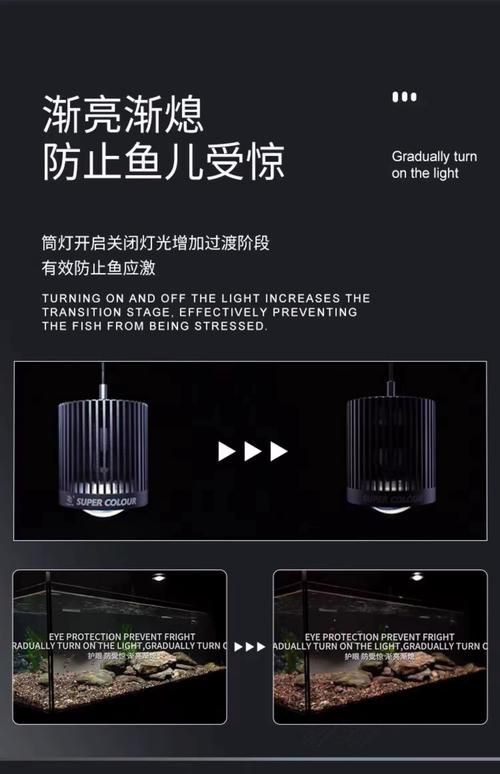 馬印水族爭艷燈價格表與圖片【馬印水族爭艷燈】