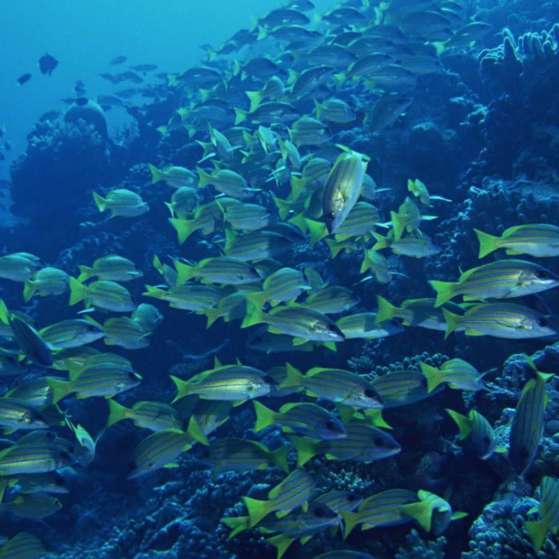 東阿水族店【東阿縣新城名門水族工藝品銷售店】
