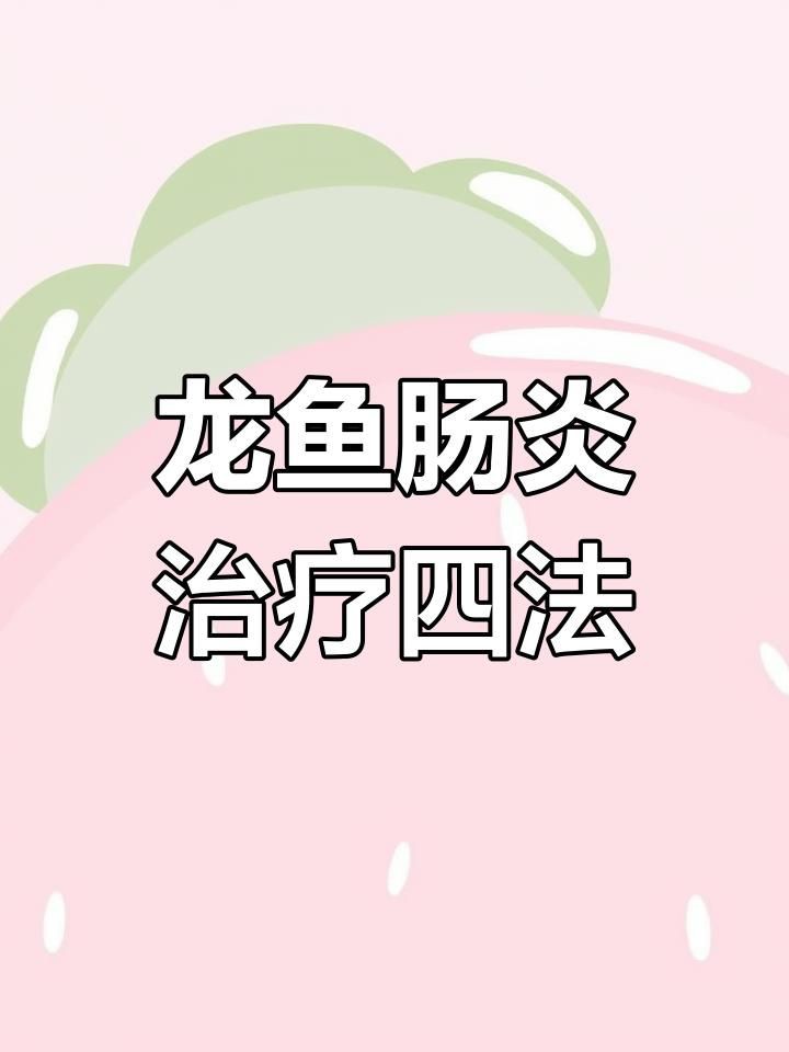 如何治療龍魚的腸炎？【《如何治療龍魚的腸炎》當(dāng)龍魚患上腸炎時(shí)】