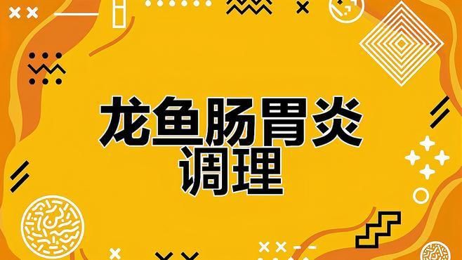 如何治療龍魚的腸炎？【《如何治療龍魚的腸炎》當(dāng)龍魚患上腸炎時(shí)】