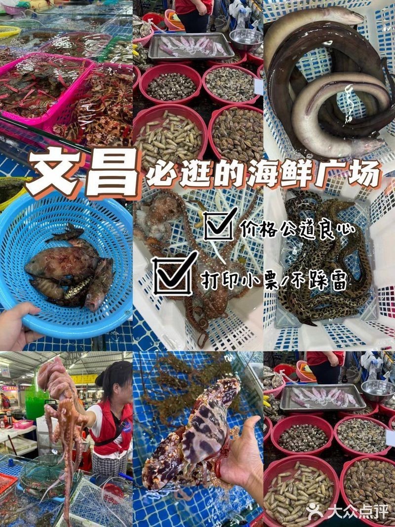 文昌龍魚店【文昌本地有龍魚專賣店嗎】
