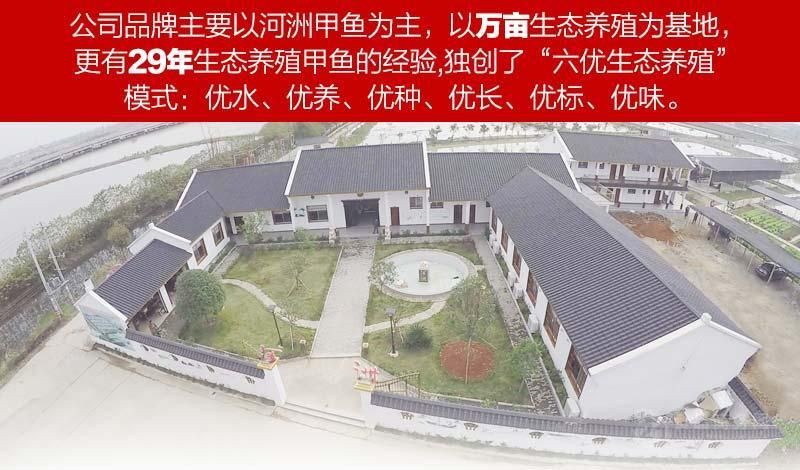 常德水族批發(fā)市場(chǎng)【常德市水產(chǎn)批發(fā)市場(chǎng)】