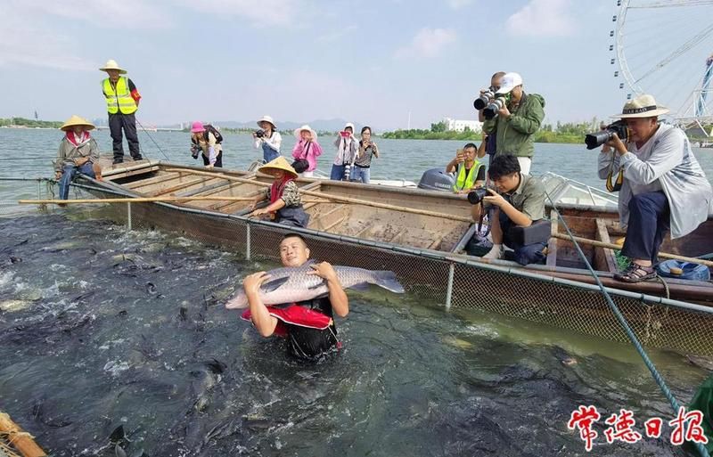 常德水族批發(fā)市場(chǎng)【常德市水產(chǎn)批發(fā)市場(chǎng)】