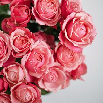 71年豬女下半年運勢【1971年屬豬人2025年下半年運勢解析】