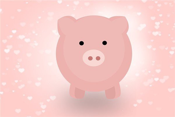 71年豬女下半年運勢【1971年屬豬人2025年下半年運勢解析】