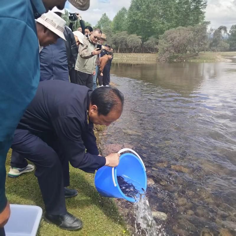 海北藏族自治州魚缸維護【海北藏族自治州高度重視魚缸維護工作被納入明年治理】