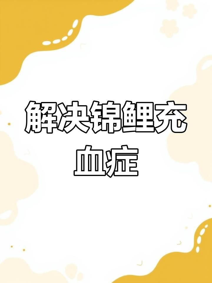 如何預防觀賞魚再次充血？【觀賞魚充血需從水質管理、環境控制和日常操作三方面施策】