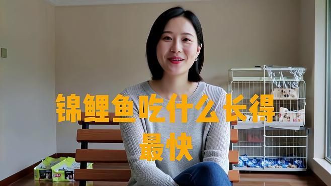 錦鯉魚飼料買哪種牌子好【2025年錦鯉魚飼料品牌的綜合選購指南】