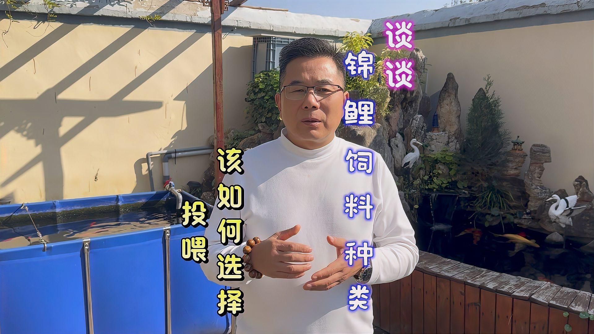 錦鯉魚飼料買哪種牌子好【2025年錦鯉魚飼料品牌的綜合選購指南】