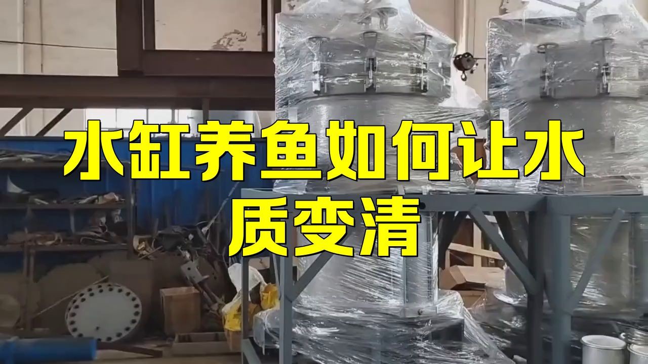 魚缸的水質(zhì)如何保持清潔？【《魚缸的水質(zhì)如何保持清潔》維持魚缸水質(zhì)清潔是保障魚兒健康生活關(guān)鍵】