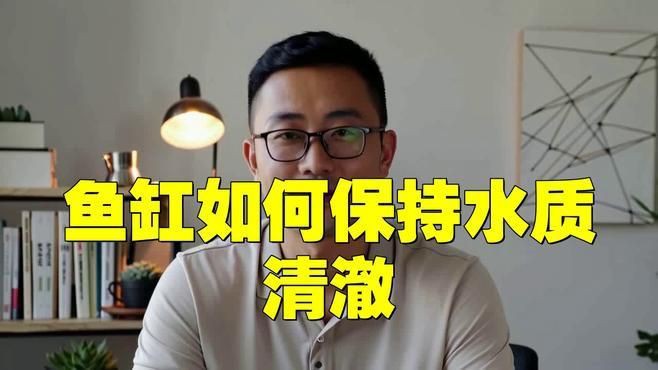 魚缸的水質(zhì)如何保持清潔？【《魚缸的水質(zhì)如何保持清潔》維持魚缸水質(zhì)清潔是保障魚兒健康生活關(guān)鍵】