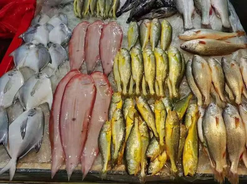 扎賚特龍魚店【扎賚特旗哪里有賣龍魚的】