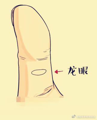 真正的龍眼紋【龍眼紋手相學解析龍眼紋與人體微觀命運的手相特征】