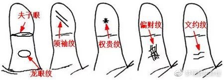真正的龍眼紋【龍眼紋手相學(xué)解析龍眼紋與人體微觀命運(yùn)的手相特征】