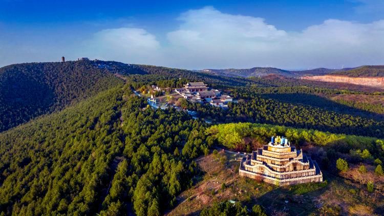 八公山龍魚店【八公山龍魚店的具體地址如何判斷龍魚品種的優劣】