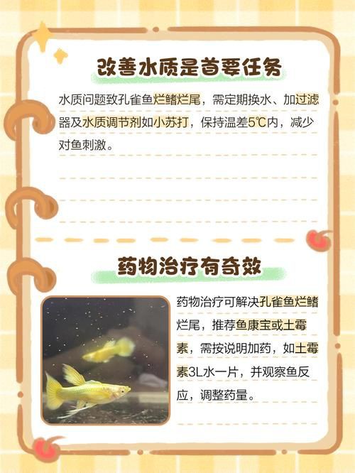 魚爛鰭爛尾圖片【魚爛鰭爛尾是一種嚴重的魚類疾病】
