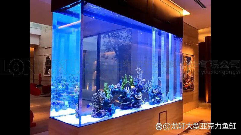 大同魚缸定做【大同市區(qū)魚缸定做】