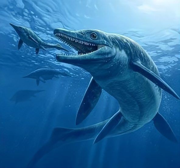 巨型龍魚能長多大【世界上最大的巨型龍魚排名心靈墨者鋒堪比藍鯨知乎】