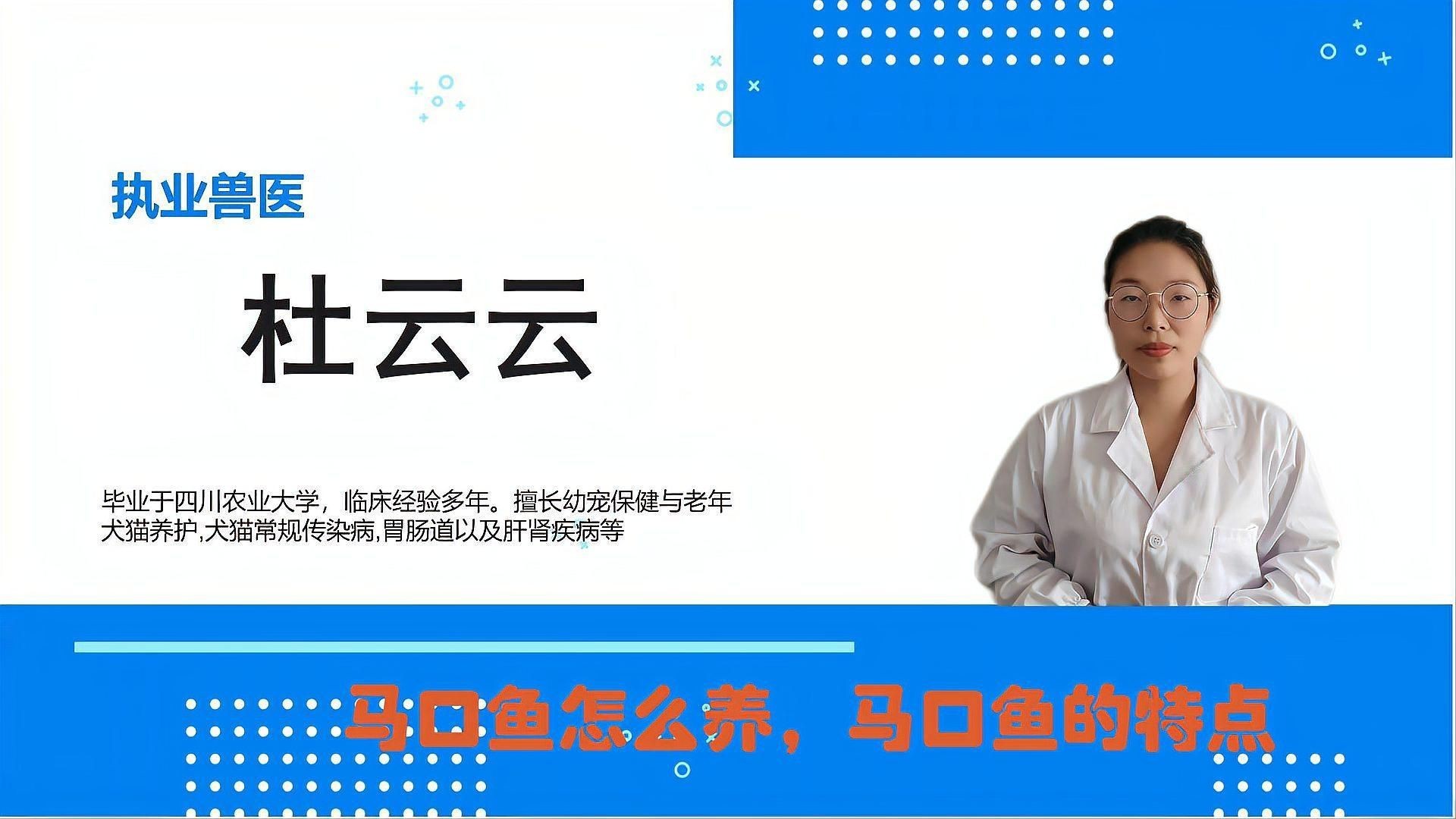 馬口魚魚缸怎么養【小羊老師培訓日記馬口魚魚缸養殖注意以下關鍵點】