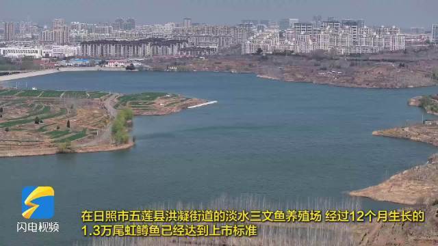 五蓮龍魚店【五蓮縣淡水三文魚上市產(chǎn)銷兩旺新浪·財(cái)經(jīng)頭條】 全國水族館企業(yè)名錄 第2張 五蓮龍魚店【五蓮縣淡水三文魚上市產(chǎn)銷兩旺新浪·財(cái)經(jīng)頭條】 五蓮龍魚店【五蓮縣淡水三文魚上市產(chǎn)銷兩旺新浪·財(cái)經(jīng)頭條】 全國水族館企業(yè)名錄 第2張