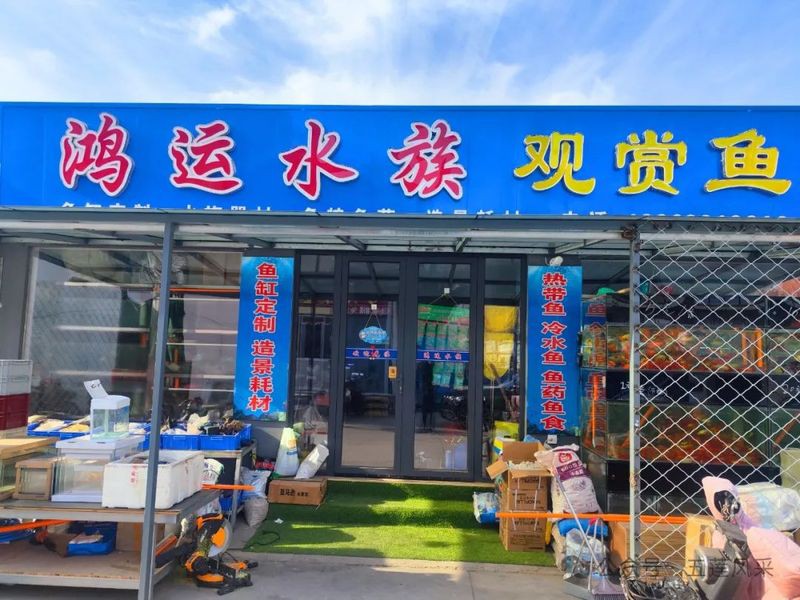 五蓮龍魚店【五蓮縣淡水三文魚上市產(chǎn)銷兩旺新浪·財(cái)經(jīng)頭條】 全國水族館企業(yè)名錄 第1張 五蓮龍魚店【五蓮縣淡水三文魚上市產(chǎn)銷兩旺新浪·財(cái)經(jīng)頭條】 五蓮龍魚店【五蓮縣淡水三文魚上市產(chǎn)銷兩旺新浪·財(cái)經(jīng)頭條】 全國水族館企業(yè)名錄 第1張