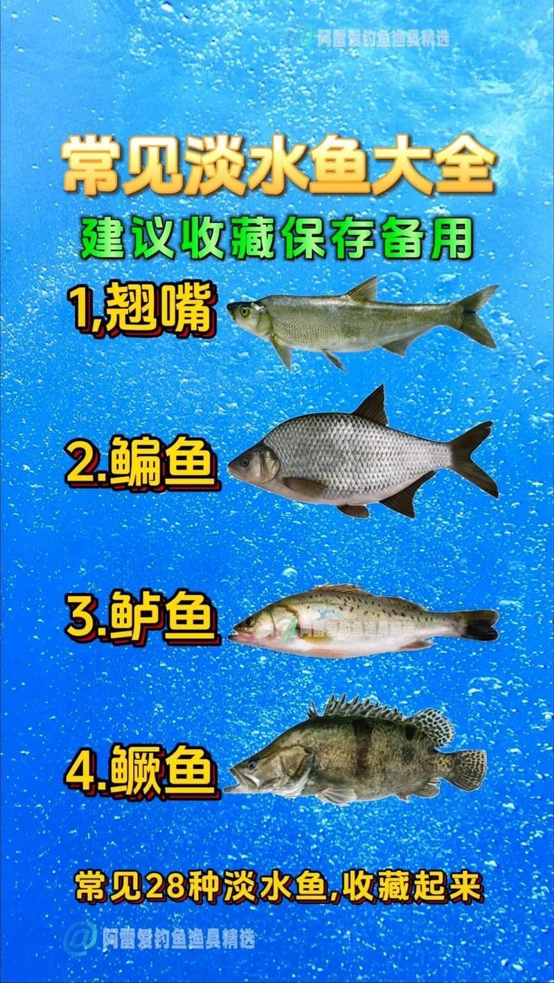 淡水魚種類大全圖片【《淡水魚種類大全圖片》全面展示豐富多樣的淡水魚類資源】