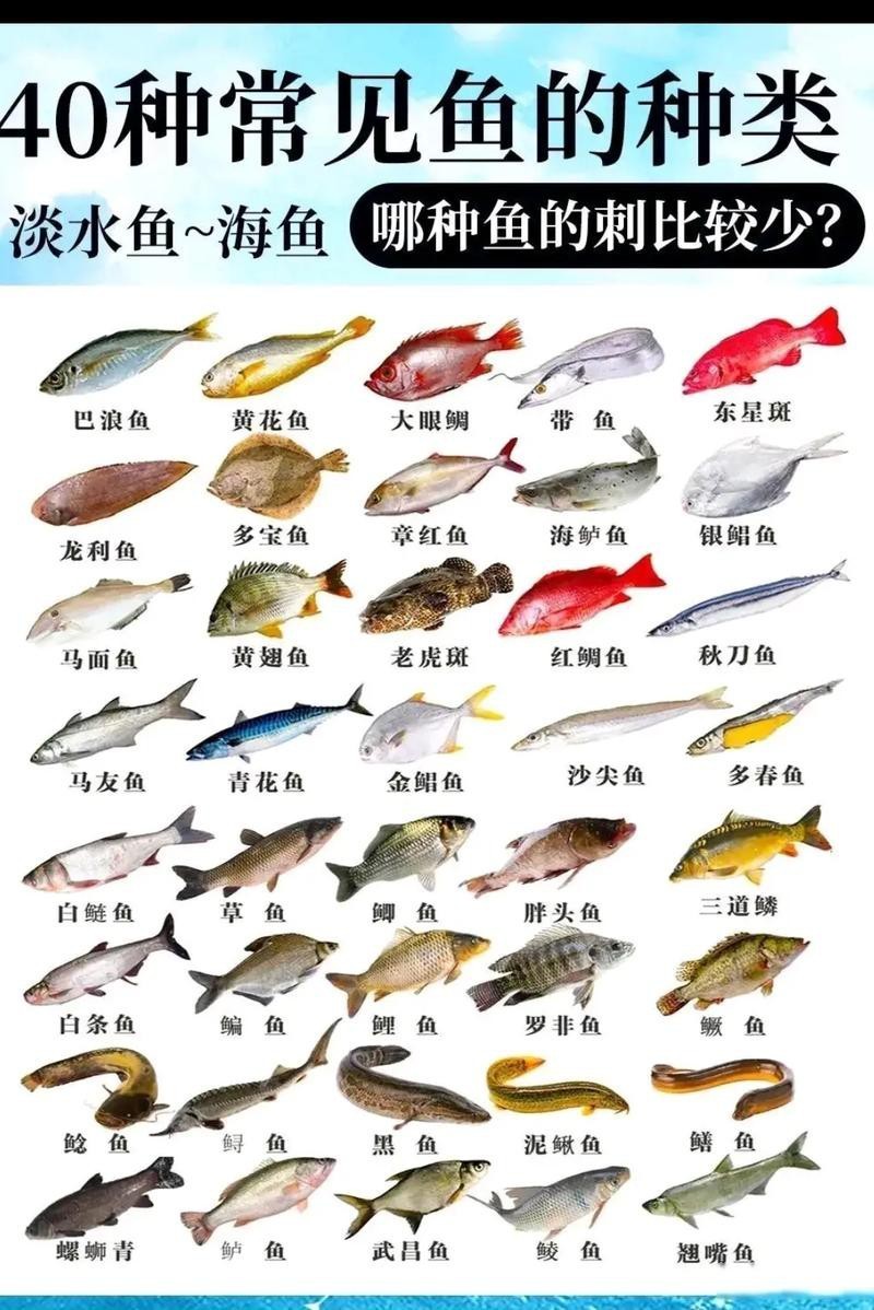 淡水魚種類大全圖片【《淡水魚種類大全圖片》全面展示豐富多樣的淡水魚類資源】