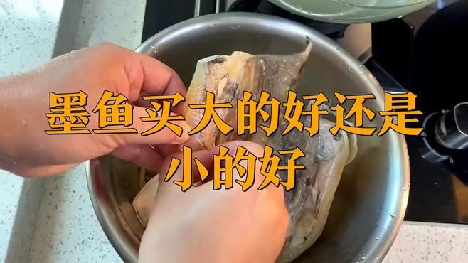 買墨魚大的好還是小的好【《買墨魚大的好還是小的好》】