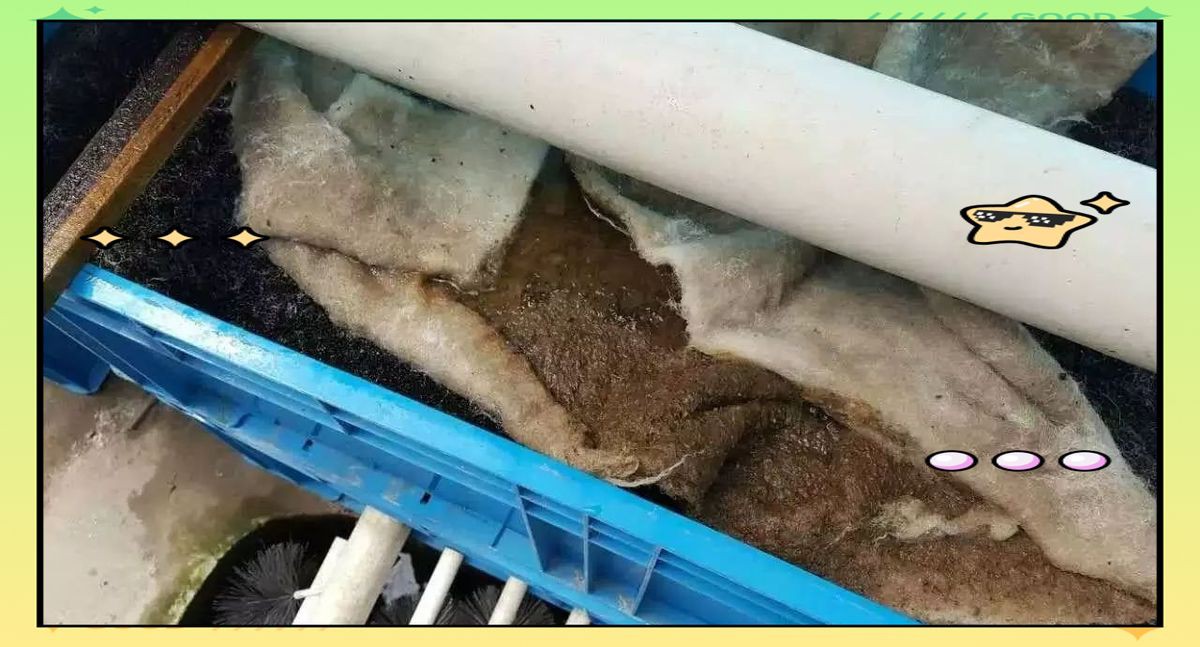 錦鯉最建議買的5種濾材【錦鯉養殖技術——錦鯉池過濾】
