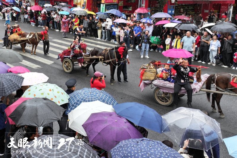 望謨水族店【望謨縣淼鱻水族魚館】