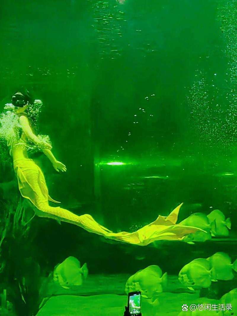 懷化水族店【懷化水族店哪家口碑最好】