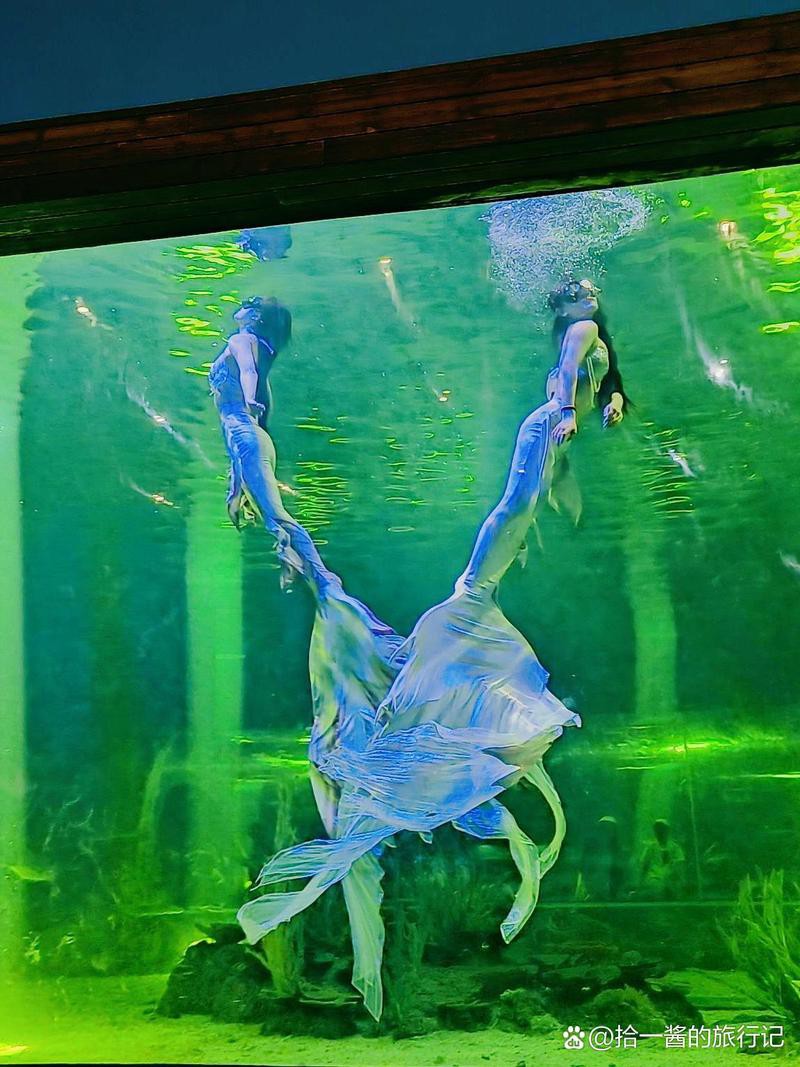 懷化水族店【懷化水族店哪家口碑最好】