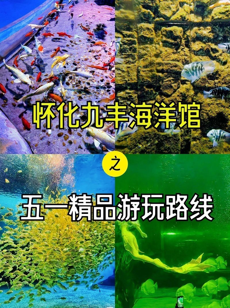 懷化水族店【懷化水族店哪家口碑最好】