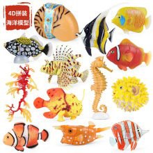 申古三間魚多少元【申古三間魚市場價值與養殖經濟分析申古三間魚價值與養殖經濟分析】